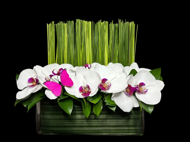 Orchid Bath