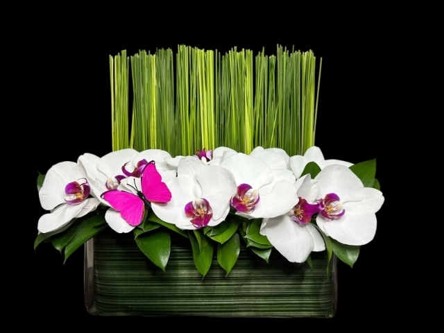 Orchid Bath