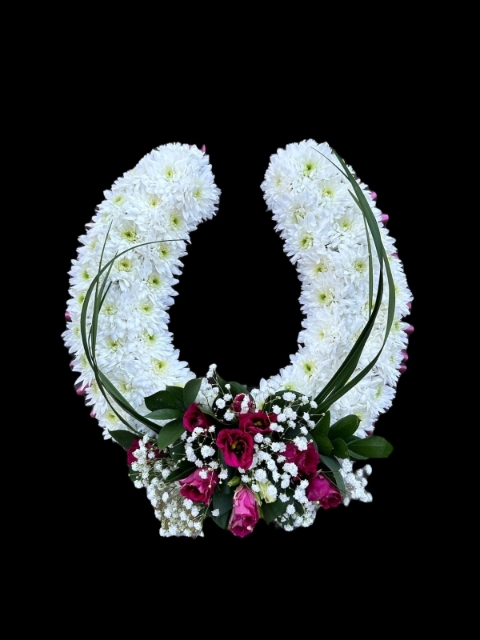 Massed Horseshoe
