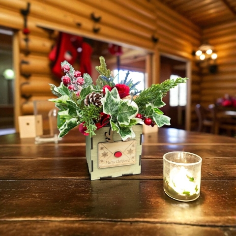 Christmas Cube (Silk)